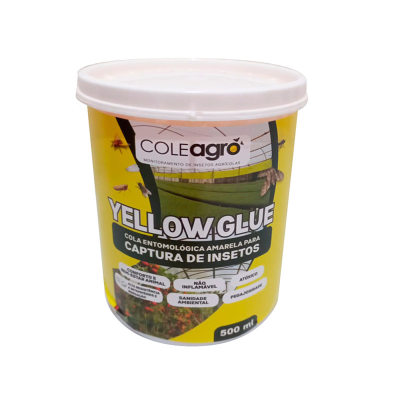 Cola Entomológica Yellow Glue | 500 gramas