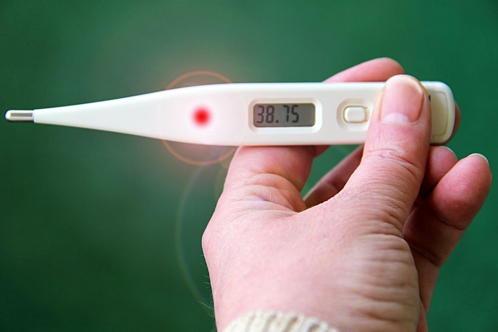 No momento, você está visualizando Fiocruz alerta sobre casos de febre maculosa e carrapato-estrela no BR; entenda