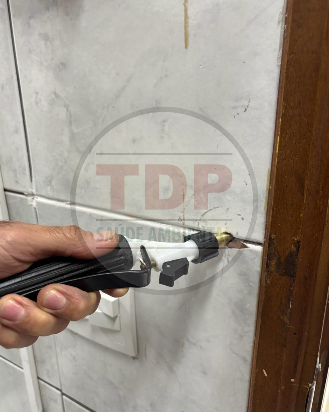 BICO CONE P/ DESCUPINIZAÇÃO - UND - Imagem 4